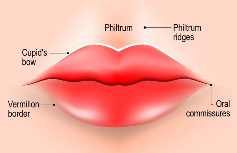 Causes and Prevention of Lip Filler Side Effects Such as Visibility, Lumps, and Asymmetry: A Dermatology Director’s Candid Advice image 5