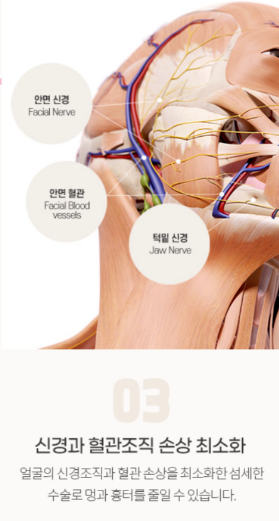 Face Liposuction Review: How to Enhance Your Contours Naturally image 5