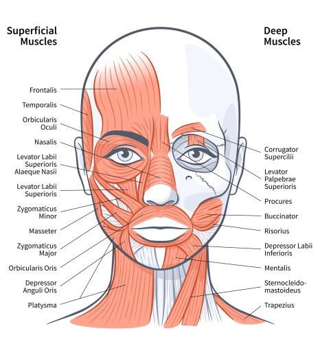 Gangnam Juvelook Volume: A Complete Guide to Improving Results Without Nodule Side Effects image 7