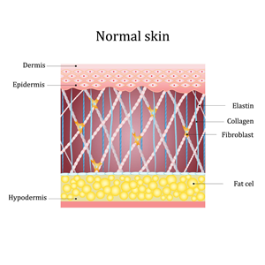 Gangnam Re2O Treatment: Controversy Over Use of Human Tissue and Side Effects? Misconceptions and Facts About Re2O. image 9