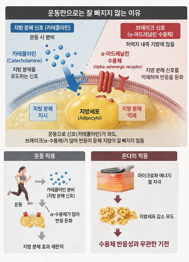 강남 온다 리프팅 망하는 가장 흔한 이유, 온다 리프팅 문의 하루 30건 받는 강남 피부과 원장이 솔직하게 말씀드립니다. 관련 이미지 8