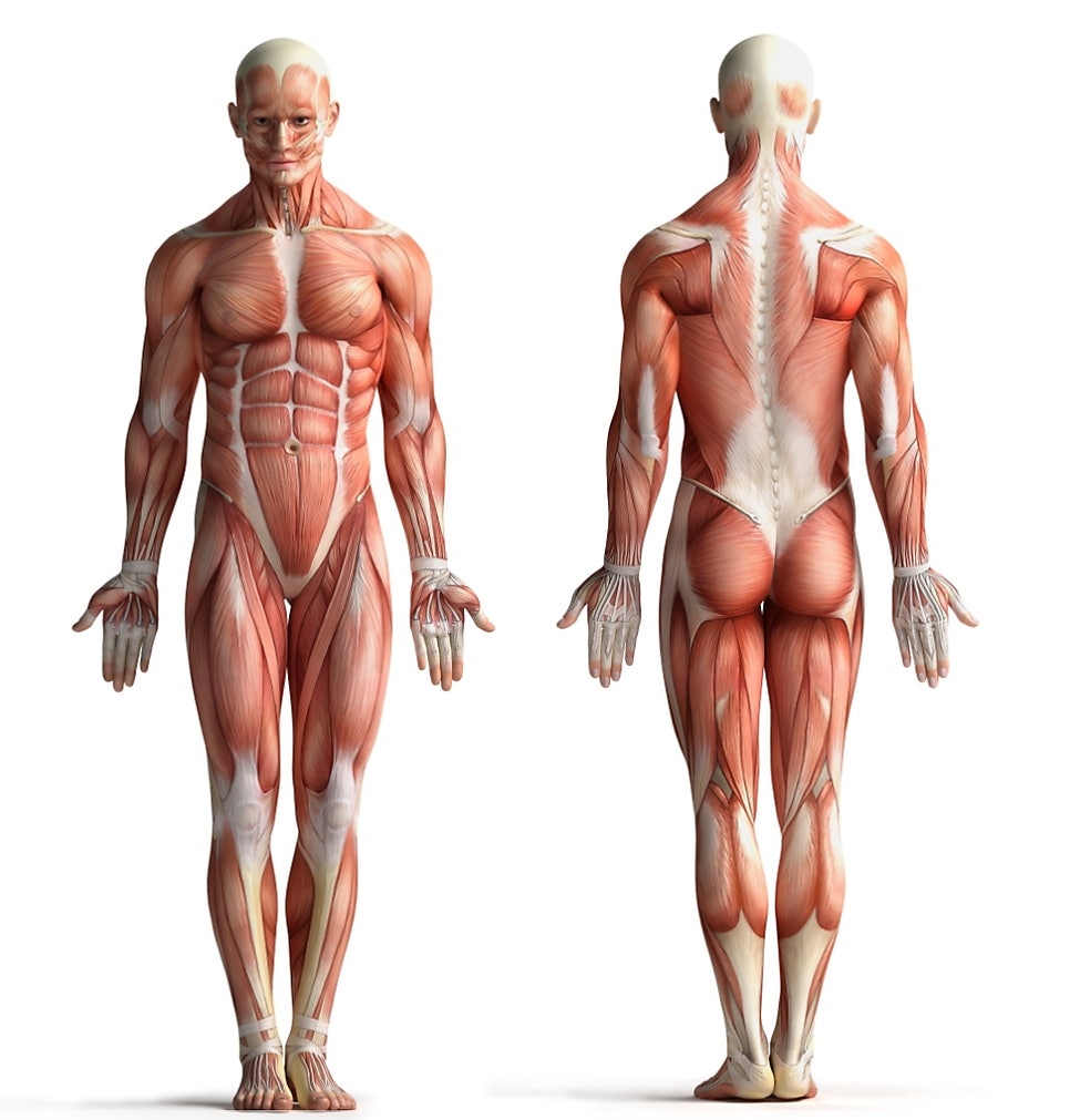 The Truth About Wegovy Yo-Yo Weight Gain and How to Deal With It: An Honest View From a Prescribing Clinic Medical Team image 9
