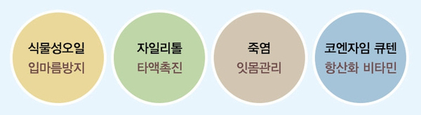 치아교정 유지장치와 틀니, 제대로 관리하는 법! 관련 이미지 9