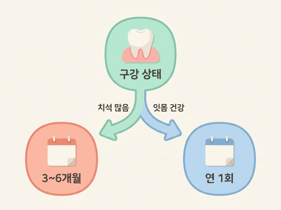 학동역 치과 스케일링, 매년 받으면 오히려 이가 시려질까? 관련 이미지 5
