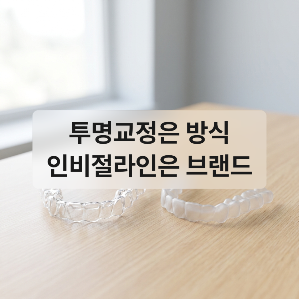 인비절라인과 투명교정의 차이, 학동역 치과 견적이 두 배 차이 나는 이유는? 관련 이미지 1