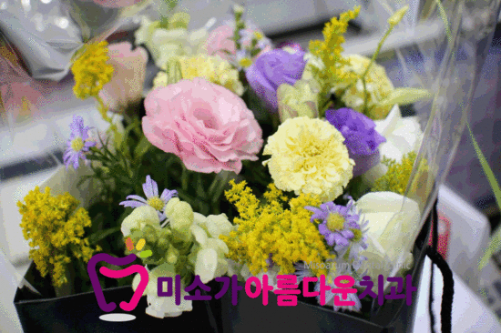 [미소가아름다운치과] 미소치과 교정 후기 촬영모습 관련 이미지 3