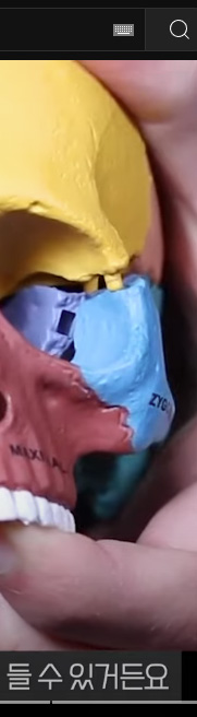 강남치아교정, 악궁확장하면 얼굴크기 커질까? 관련 이미지 11