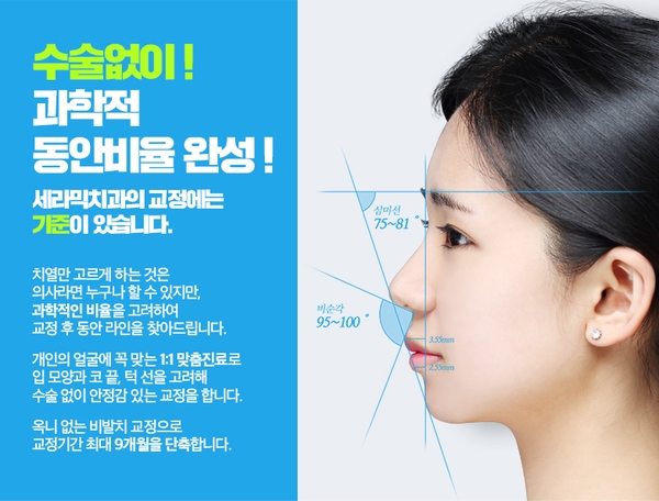 강남 돌출 관련 이미지 10