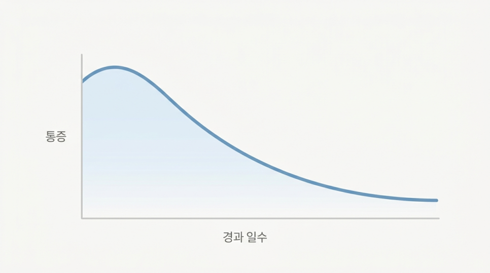 임플란트 식립 후 통증, 어디까지가 정상? 학동역 치과 관련 이미지 4