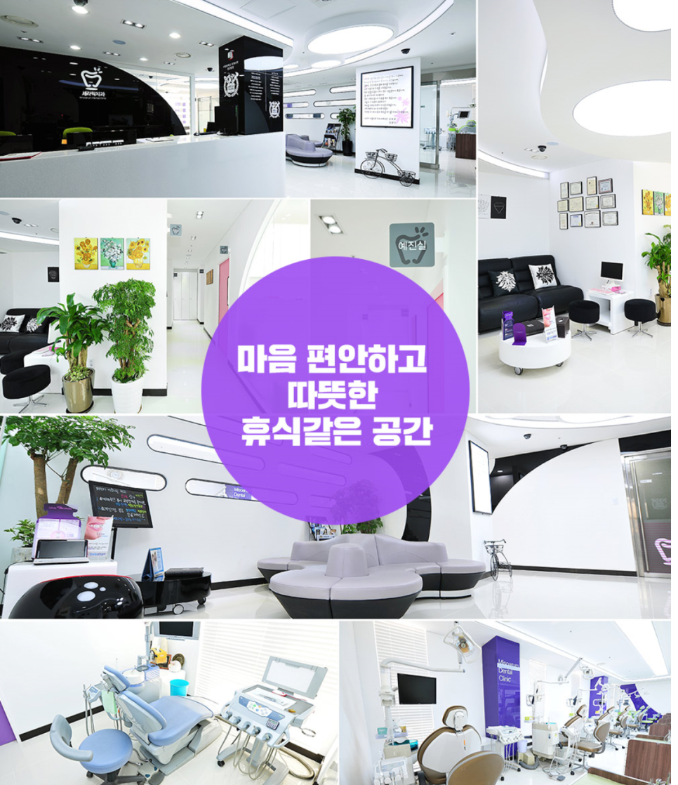 세라믹치아교정만 19년째 관련 이미지 2