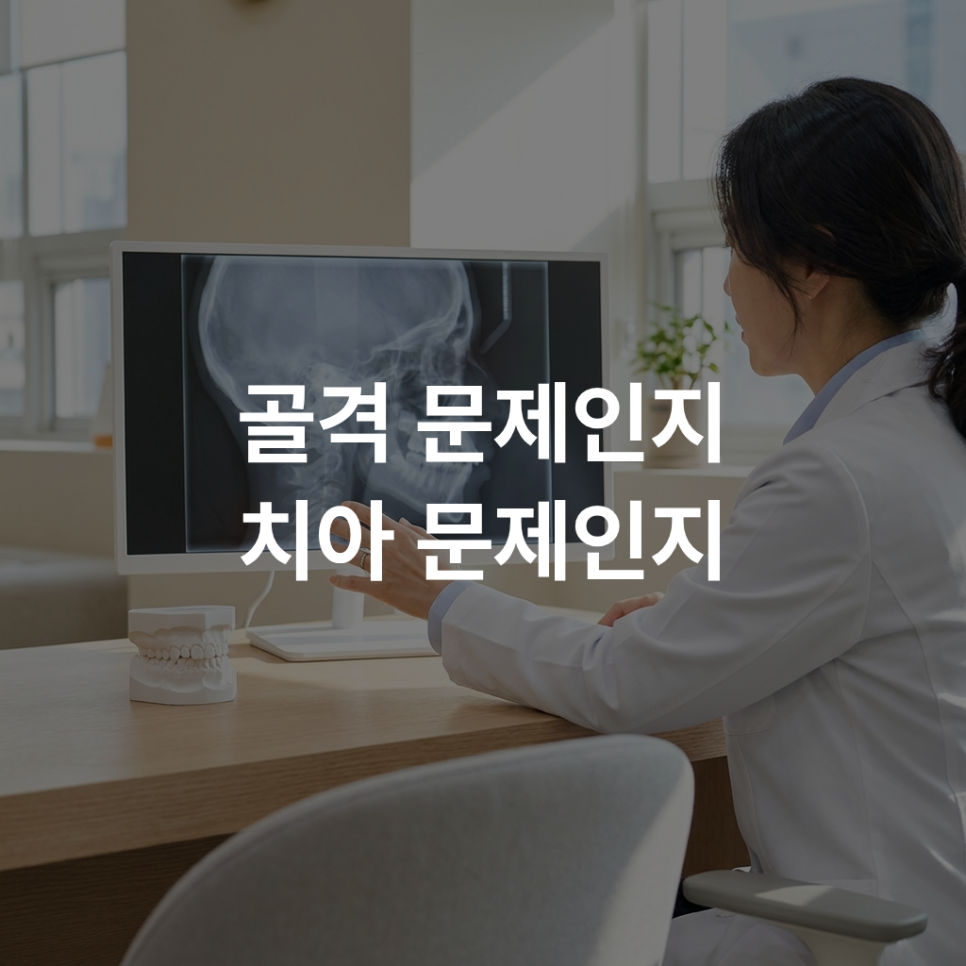 학동역 교정치과 관점에서 보는 성장기 부정교합 신호, 진단에서는 무엇을 확인할까요? 관련 이미지 4