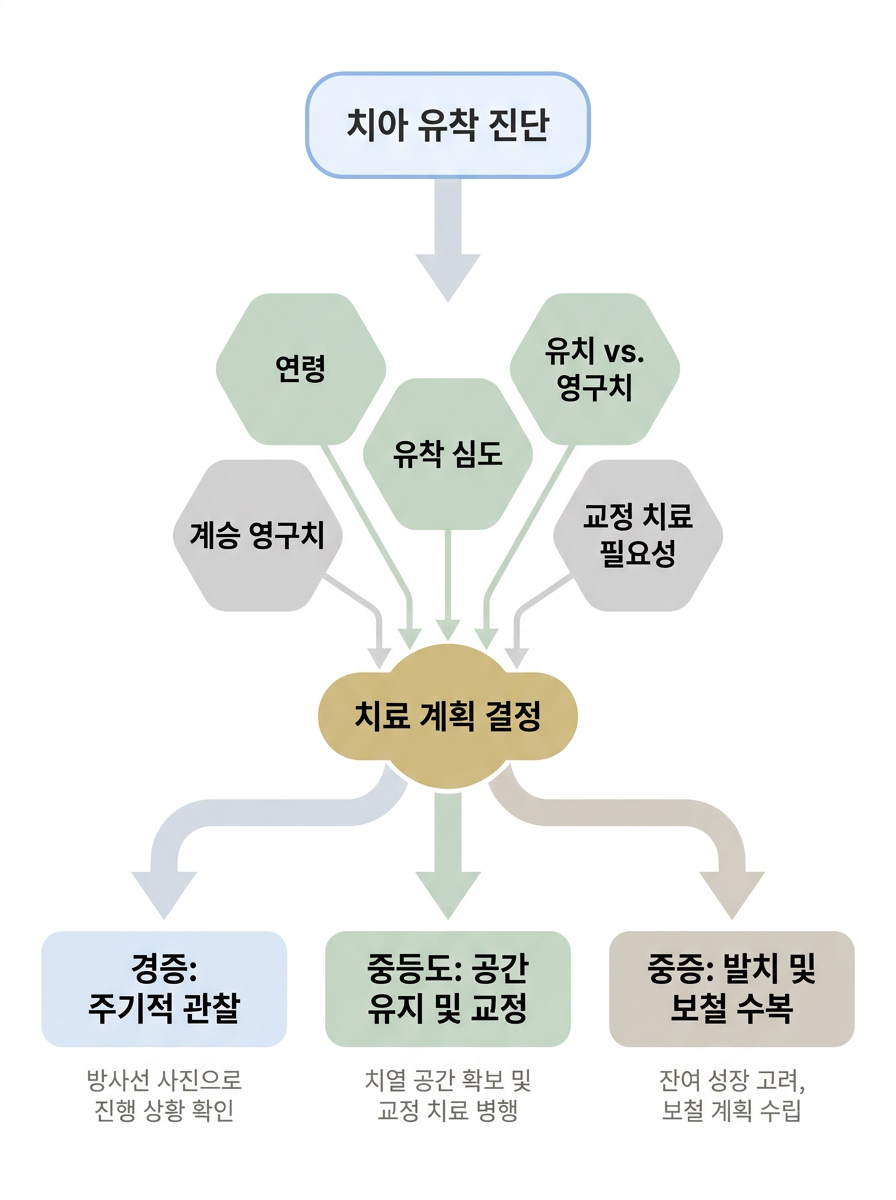 치아 유착(ankylosis)이란? 아이 유치가 안 빠지고 낮게 보일 때 확인할 점 관련 이미지 8