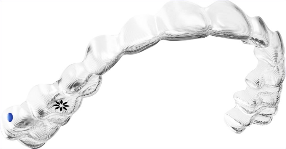 돌출입 투명교정으로 세련된 옆라인을 완성한 치아교정전후 관련 이미지 1