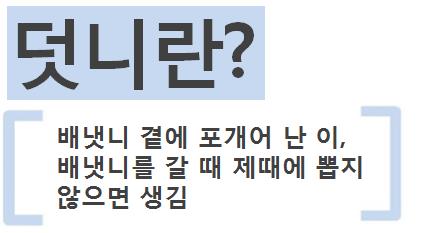 세라믹교정 덧니교정 세라믹치과에서 ~~ 관련 이미지 2