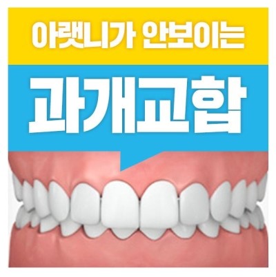 과개교합 ABP 교정 관련 이미지 1