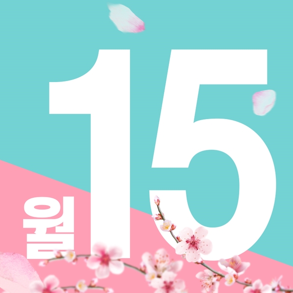 돌출 교정 월15만원 관련 이미지 12