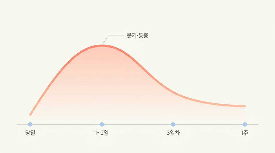 학동 치과 치료 후 자주 묻는 질문 — 신경치료·임플란트 직후 통증 범위와 주의사항 체크리스트 관련 이미지 3