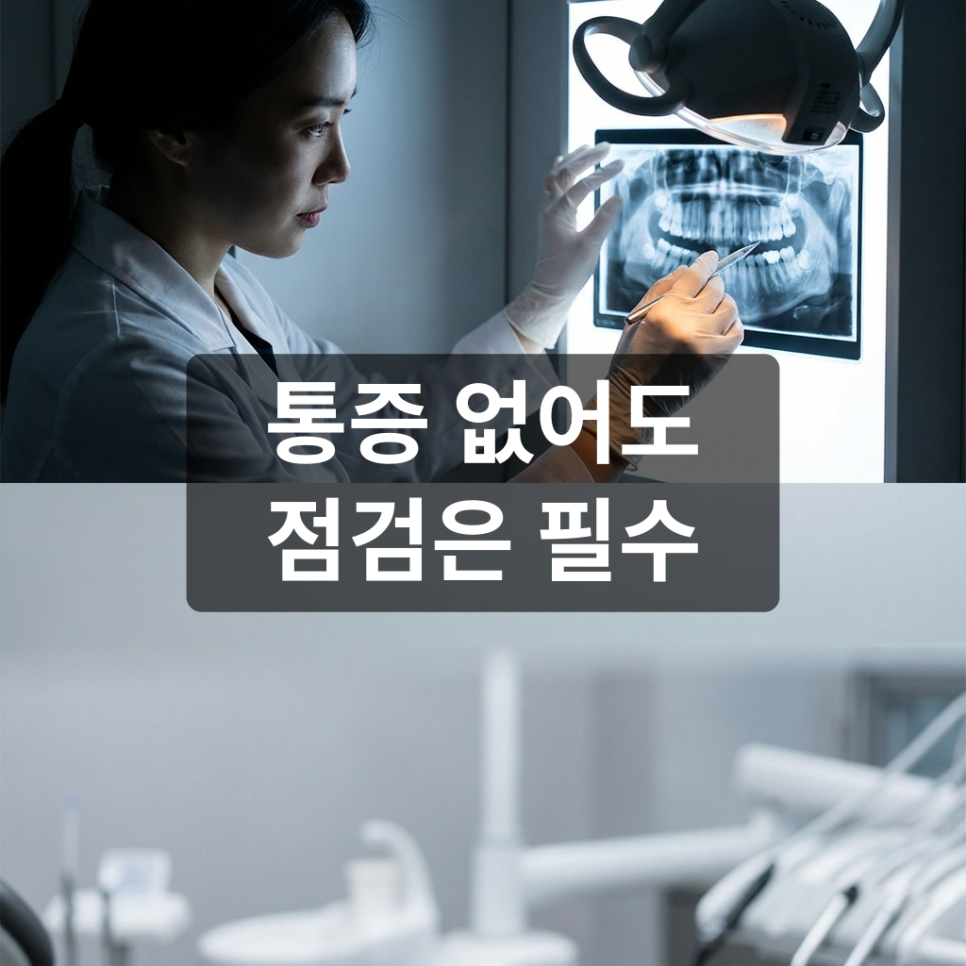 치근 흡수, 원인·위험 요인·예방까지 총정리 관련 이미지 4