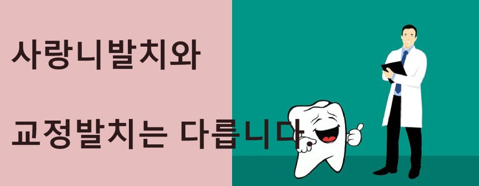 교정발치에 대하여 관련 이미지 4