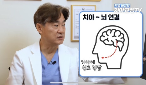 강남역치아교정, 신경치료 받은 치아도 교정이 될까? 관련 이미지 8