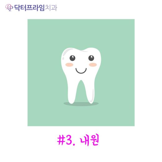 대학생교정 왜 유리한가, 20대 치아교정 체크포인트 관련 이미지 6