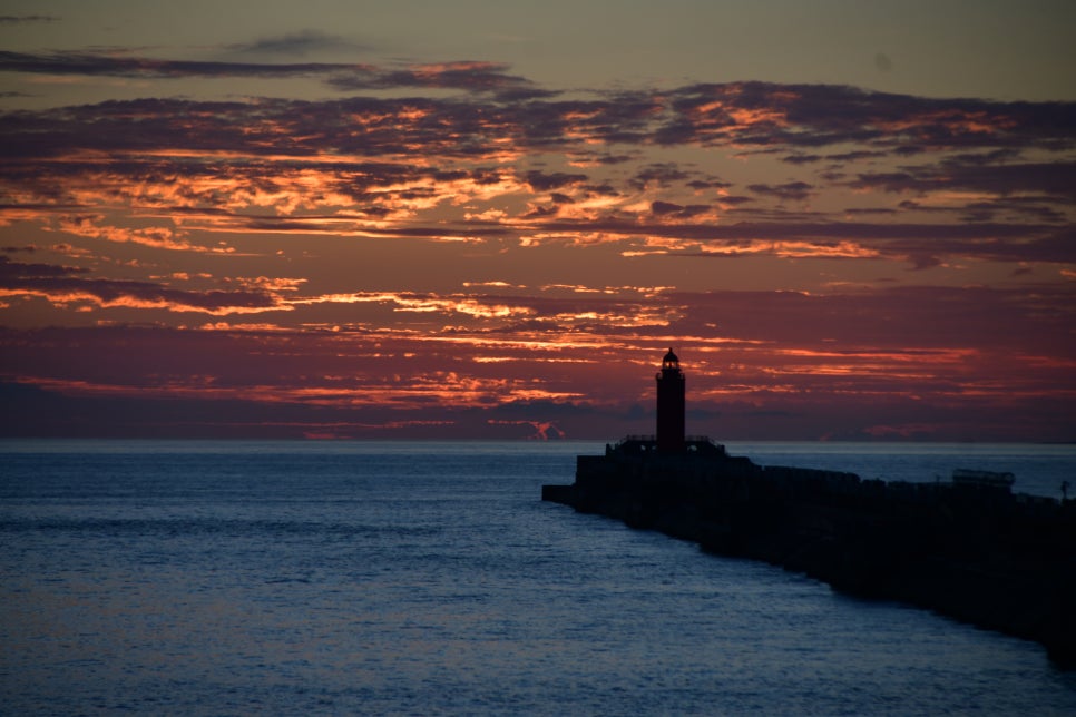오늘의 황혼을 그림으로 위한한다 관련 이미지 4