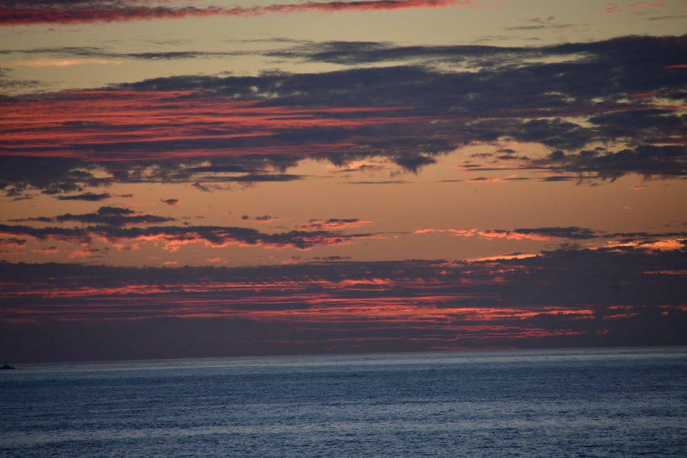 오늘의 황혼을 그림으로 위한한다 관련 이미지 2