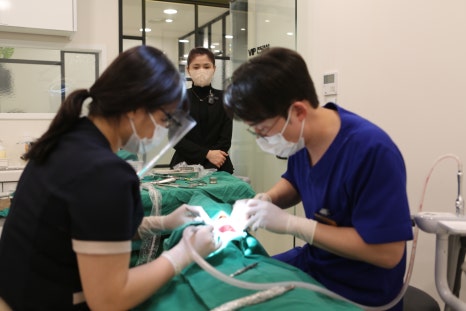 신사역 미백 치약? 전문가 미백? 차이가 분명하죠 관련 이미지 1