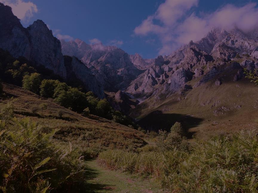 스페인현지통역 서비스: 필요한 정보와 팁 관련 이미지 1