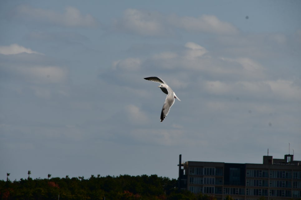 하늘 날다 관련 이미지 4