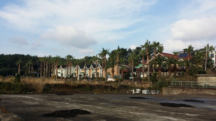 & 관련 이미지 8