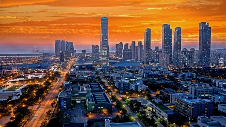 갈매기의 식성과 사회 생활정보 관련 이미지 27