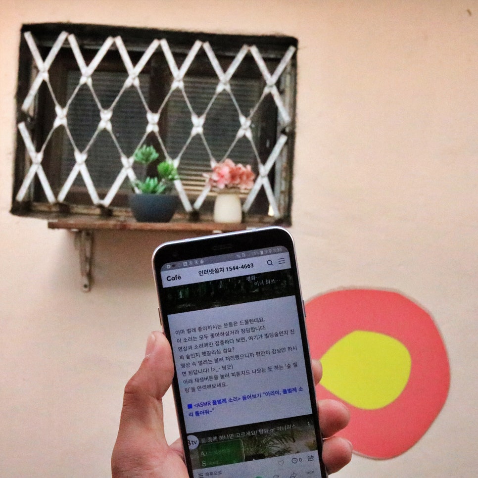 필수인거 아시죠? 순천 인터넷 가입 신중한 선택 관련 이미지 10