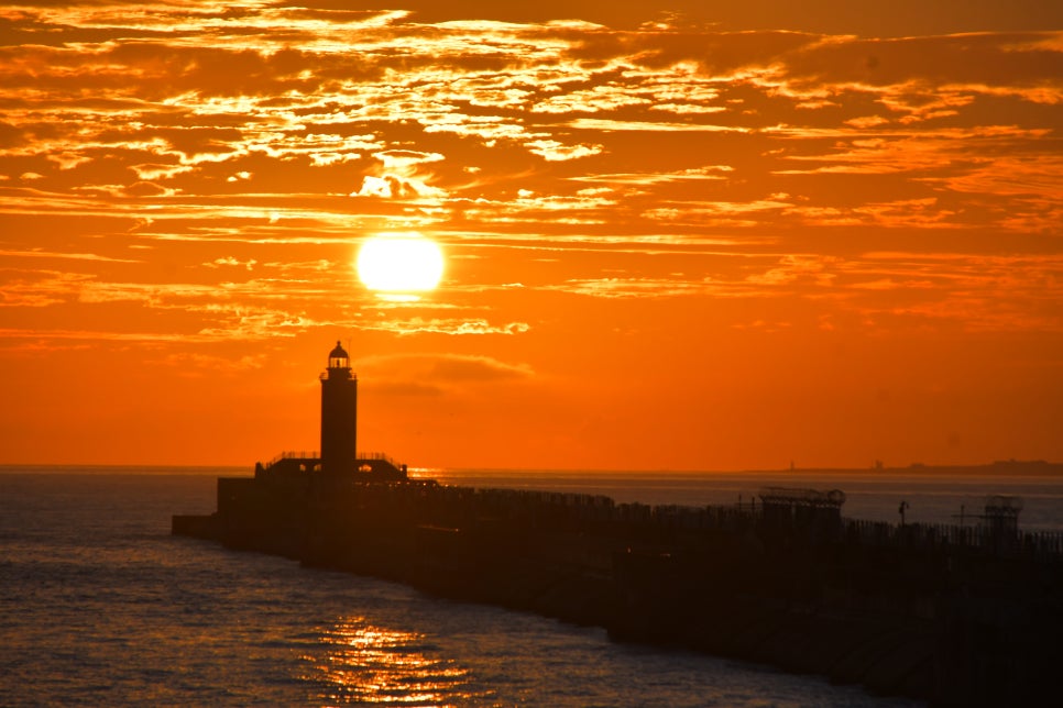 오늘의 황혼을 그림으로 위한한다 관련 이미지 9