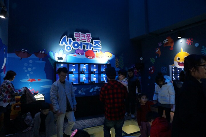 아쿠아리움 관련 이미지 3