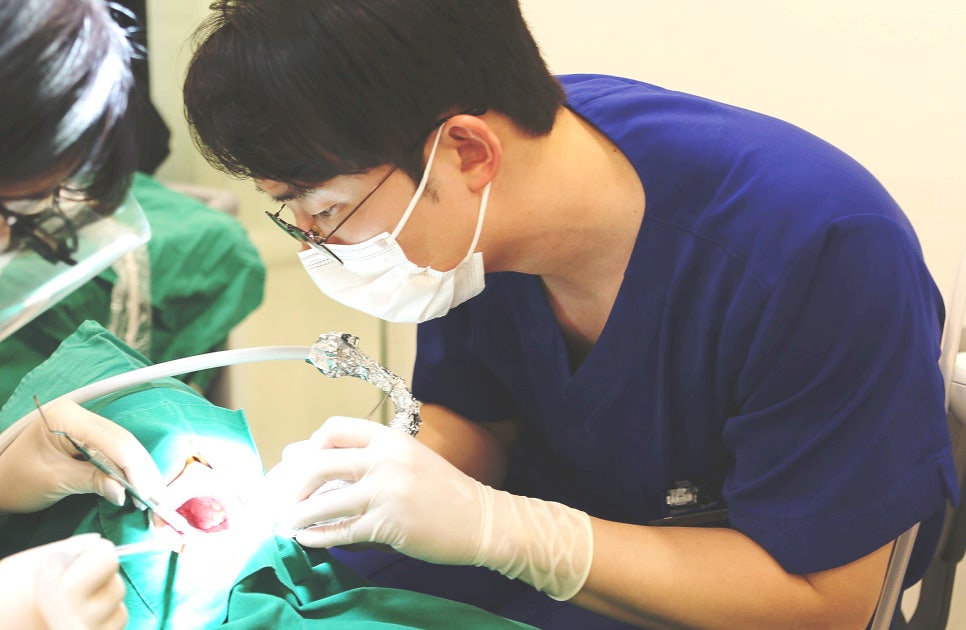 사랑니 발치 가글로 헥사메딘 써도 될까? 관련 이미지 8