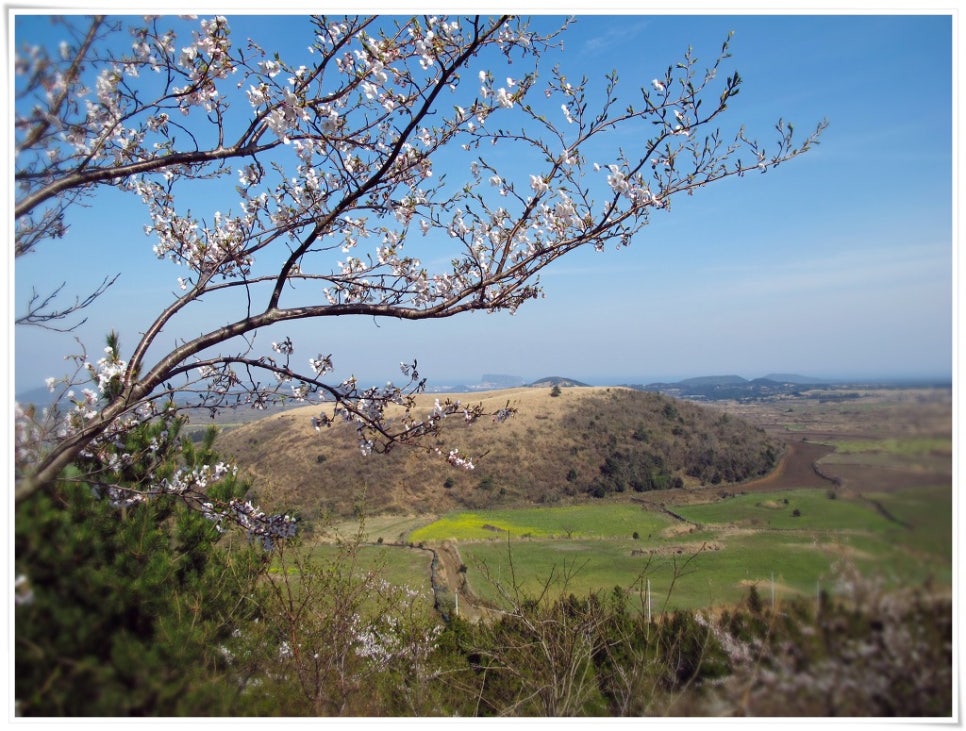 백록담을 닮은 다랑쉬오름(월랑봉) 관련 이미지 2
