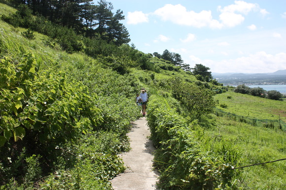 15코스 비양도 관련 이미지 9