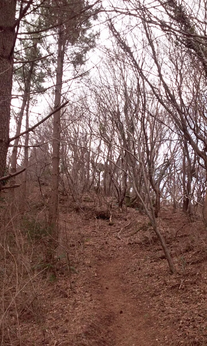 왕이메오름 관련 이미지 3