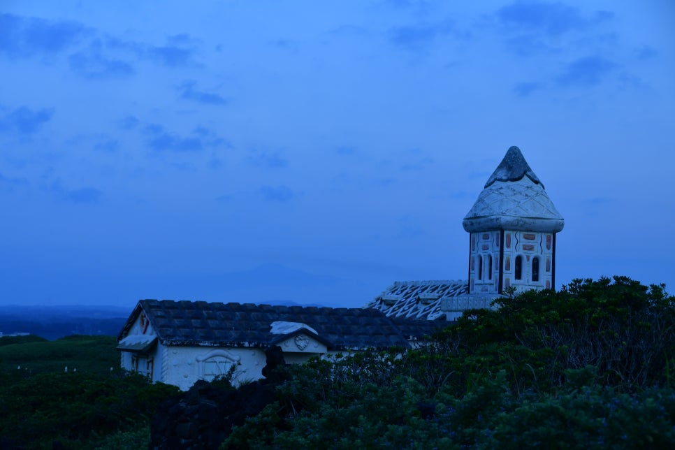 페가 되버린 섭지 코지 관련 이미지 5