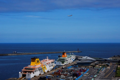 갈매기의 식성과 사회 생활정보 관련 이미지 28