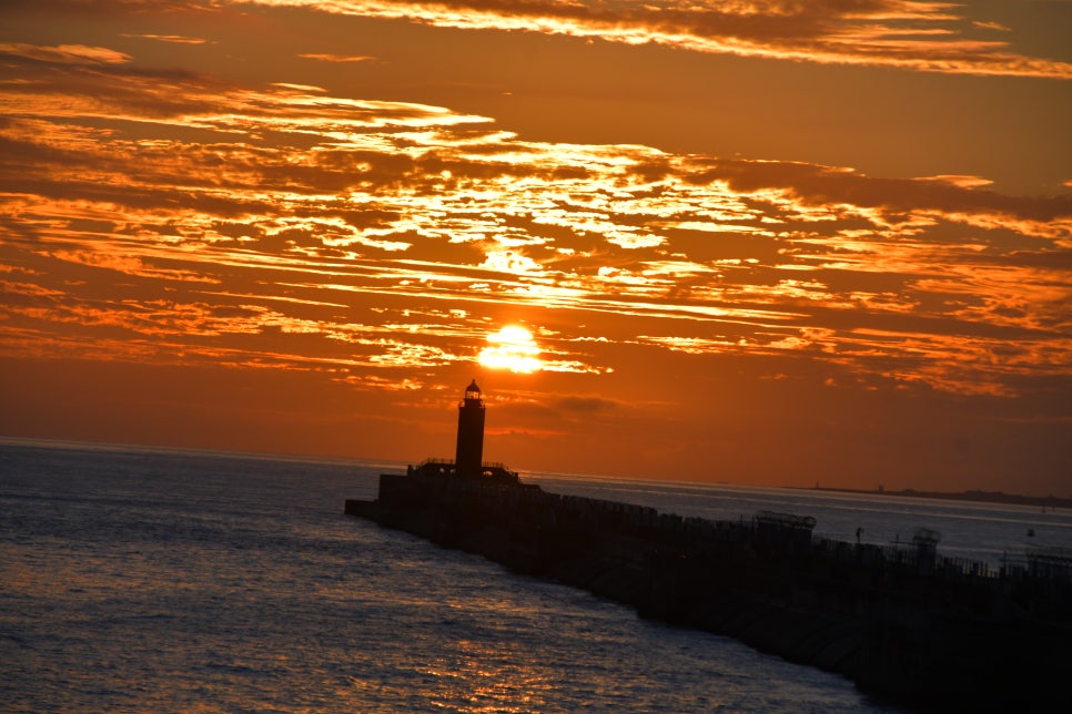 오늘의 황혼을 그림으로 위한한다 관련 이미지 6