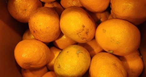 환자분들께서 선물해 주신 새콤한 귤과 음료들! 관련 이미지 5