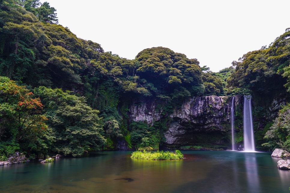 갈매기의 식성과 사회 생활정보 관련 이미지 29