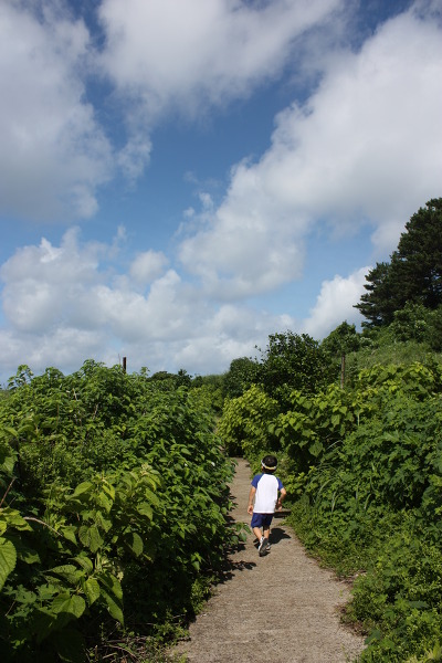 15코스 비양도 관련 이미지 3