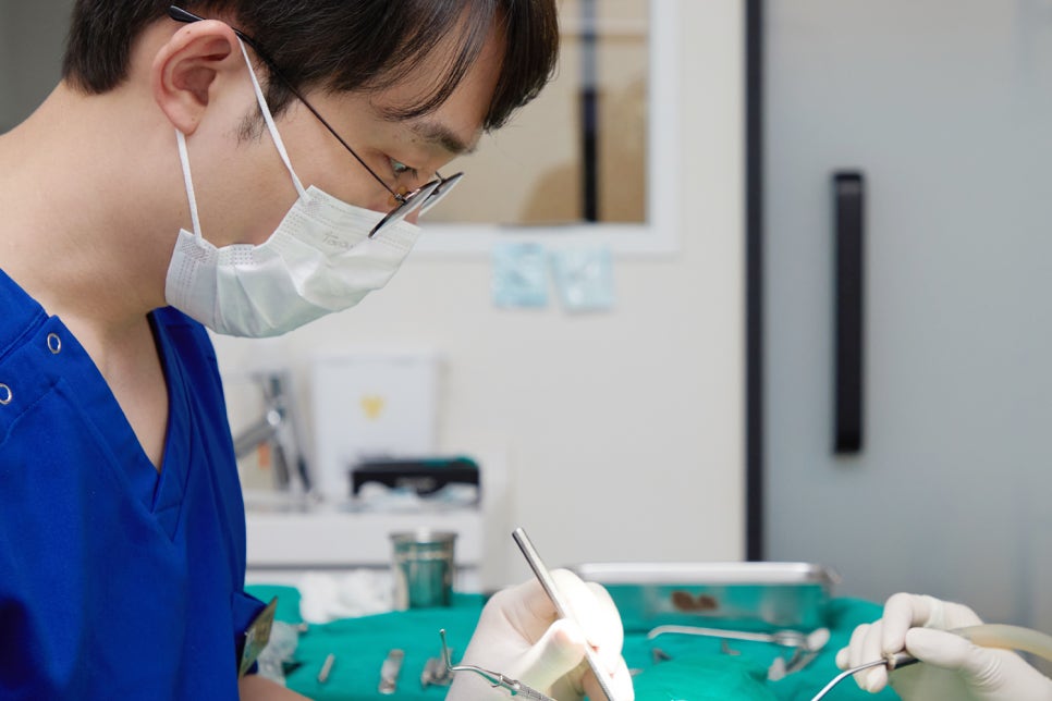 치통이 심할때 탁센 렉소펜정 진통제? 관련 이미지 4