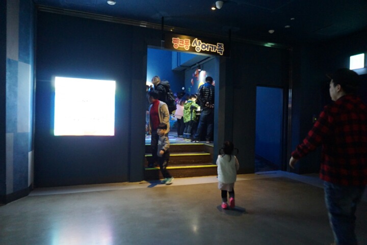 아쿠아리움 관련 이미지 2