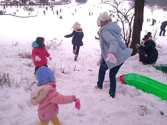 제주마방목지 관련 이미지 4