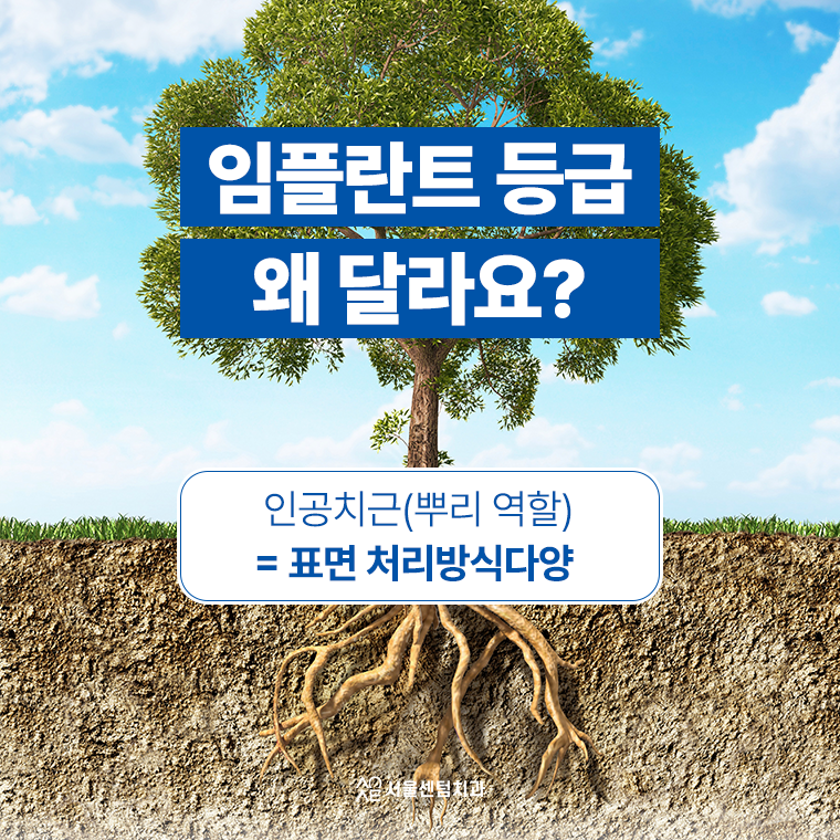 오스템임플란트 등급 종류 어떤 기준으로 나뉠까요 관련 이미지 3