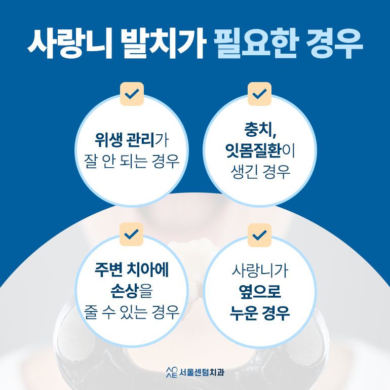 사랑니 날 때 통증 문제가 생겼다는 신호? 발치 필요 여부 체크 관련 이미지 4